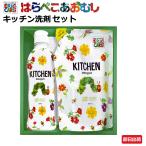 出産祝い 内祝い はらぺこあおむし キッチン洗剤セット ギフトセット 引越し挨拶 御礼 食器用 プチギフト 贈答品 挨拶 お返し