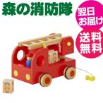  день рождения. праздник оптимальный! дерево. . помутнение ощущение хороший звук. игра инструмент [ празднование рождения * внутри праздник .] гремящий лес. пожаротушение .* Ed * Inter * игрушка * текстильный * развивающая игрушка 