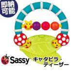  празднование рождения Sassy великолепный оттенок . симпатичный игрушка для укрепления зубов Caterpillar * чай The - внутри праздник . ответ популярный подарок детская одежда день рождения подарок игрушка 