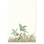  открытка с видом открытка зима модный японская бумага письмо сообщение карта сезон. открытка ... подарок . земля производство интерьер ..../ кошка pohs соответствует 