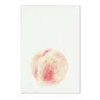  открытка с видом открытка лето сезон. открытка персик модный японская бумага письмо жара средний видеть Mai . осталось жара подарок . земля производство интерьер ..../ кошка pohs соответствует 