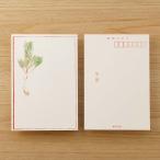 年賀状 おしゃれ 和紙 絵葉書 新年 年賀はがき 祝い松 2枚入/ネコポス対応