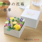  сезон. цветок коробка весна . модный украшение e-s ta- украшение интерьер японская бумага смешанные товары living вход миниатюра ....