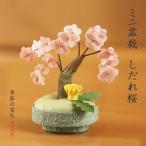  украшение интерьер мини бонсай сакура шидаре модный японская бумага . цветок видеть весна living вход миниатюра ......
