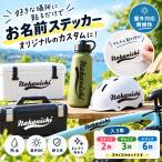お名前ステッカー （スポーツロゴ風）カッティングステッカー カッティングシート ネームステッカー 防水 屋外用 耐候