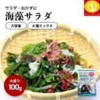 プレミアム会員なら50%OFF 乾燥カット海藻ミックス100g 業務用 大容量 サラダ スープ 乾燥わかめ 乾燥赤角又 乾燥白木耳 乾燥青角又 ツノマタ キクラゲ メール便