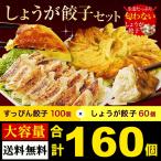 期間限定50%OFFセール ぎょうざ 餃子 取り寄せ 中華 点心 すっぴん餃子100個+生姜餃子60個 食べ比べ しょうが餃子 大阪 ギフト お取り寄せ