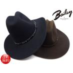 *Bailey( Bayley )* USA мужской kla автомобиль bru шляпа pa Cub LUKA u Boy [chisholm] [ черный /D. Brown /] милитари кемпинг альпинизм 