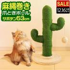 1 год гарантия коготь .. кошка кактус type модный симпатичный paul (pole) имеется лен . наматывать высота примерно 53cm лен наматывать кошка товары игрушка фигурная скобка коготь точить движение нехватка аннулирование -тактный отсутствует аннулирование бесплатная доставка 