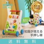 1年保証 手押し車 知育 遊び 木製 木のおもちゃ 知育玩具 ベビーウォーカー かたかた つかまり立ち 歯車 迷路 型はめ 赤ちゃん RiZkiZ 送料無料