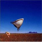 BURY THE HATCHET / THE CRANBERRIES