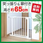 突っ張りペットゲート 扉付き 高さ65cm 幅67〜81cm 低め オートクローズ 穴あけ不要 階段 小型犬用 侵入 脱走 いたずら防止 おしゃれ 人気 OMD-PG6265T