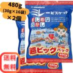 ショッピング分けあり ミレービスケット 超ビッグパック 480g×2個 (30g×16袋×2パック) 野村煎豆加工店 大容量