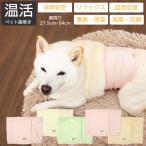 犬用腹巻 歩行サポート 防寒 蓄熱 保温 消臭 抗菌 UVカット ヘルスケア 柴犬 中型犬 ウェルネス 温活 ペット 腹巻き 〜9kg 胴囲27.5〜54cm M L XL