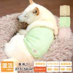 犬用腹巻 歩行サポート 防寒 蓄熱 保温 消臭 抗菌 UVカット ヘルスケア 柴犬 中型犬 ウェルネス 温活 ペット 腹巻き ロングタイプ 〜9kg
