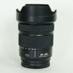 PANASONIC LUMIX S 28-200mm F4-7.1 Macro O.I.S.