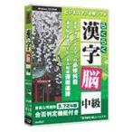  носитель информации пять media5 удобно иероглифы .* средний класс 