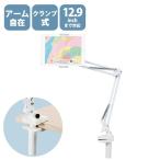  Elecom (ELECOM) TB-DSZARMWHN белый Z arm type планшет подставка 