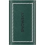 FiiO(fi-o) FIO-SK-SSMELODY-GR Emerald Green Snowsky MELODY специальный PU кожанный кейс 