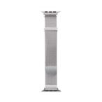 PGA PG-AW41ST02SV серебряный Apple Watch 42/41/40/38mm для нержавеющая сталь магнит частота 