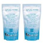 東芝(TOSHIBA) GEL 24002P 交換用エアリオン・ジェル 2個セット