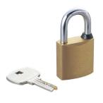  Elecom (ELECOM) ESL-NKD юг столица таблеток 