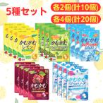 かむかむレモン パウチ ■最短賞味期限2026.6■ 5種セット レモン ラムネ シャインマスカット ルビーロマン ホワイトソーダ まとめ買い
