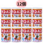 三立製菓 カンパン 100g 12個セット 非常食 まとめ買い セット サンリツ 防災 備蓄 保存食 長期保存 5年
