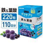 UHA味覚糖 グミサプリ 鉄＆葉酸 220粒 110日分 アサイーミックス味 鉄分 葉酸 グミタイプ サプリメント 小袋11袋入り 栄養補助