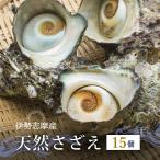 さざえ サザエ 活 伊勢志摩産 産地直送 天然 活さざえ 活サザエ 三重県産 伊勢志摩直送 《15個セット》 BBQ バーベキュー お歳暮 ギフト 送料無料