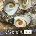 さざえ サザエ 活 伊勢志摩産 産地