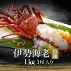 伊勢海老 三重県 伊勢志摩産 【冷凍】《約1kg 3尾(1尾約300g〜400g)》 伊勢エビ 産地直送 天然 伊勢えび 三重県産 伊勢志摩直送 お中元 ギフト 送料無料