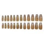 [ бесплатная доставка ] искусственные ногти (J-NLTP-31) / common quotient 