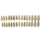 [ бесплатная доставка ] искусственные ногти (J-NLTP-34) / common quotient 