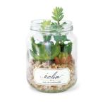 [ включая доставку ] дезодорация a-tifi автомобиль ru зеленый e прозрачный много мясо L / акционерное общество kisima