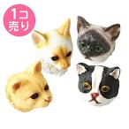 [ бесплатная доставка ] настоящий . кошка. лицо. магнит (1 шт продажа ) / SUNHOSEKI