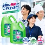 花王 ワイドハイターEXパワー 業務用 4.5L×2本 合計9L 酸素系 衣料用漂白剤