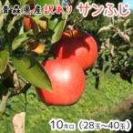  Aomori apple free shipping with translation apple sun ..10kg(10 kilo )28~40 sphere [ apple .. equipped * apple 