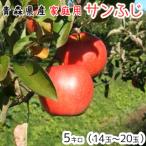  Aomori яблоко бесплатная доставка для бытового использования солнечный ..5 kilo 14~20 шар доставка 11 месяц 20 день примерно из 