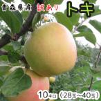  Aomori яблоко * бесплатная доставка * есть перевод toki10 kilo 28~40 шар доставка 10 месяц 1 день примерно из 