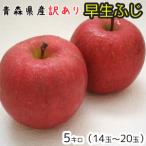  Aomori яблоко * бесплатная доставка * есть перевод . сырой ..5 kilo 14~20 шар отправка 10 месяц 10 день примерно из 