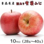 青森りんご☆送料無料☆訳ありりんご有袋ふじ10キロ28-40玉 発送は5月7日頃から