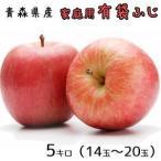 青森りんご☆送料無料☆家庭用有袋ふじ5キロ14〜20玉