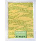 . развлечение No.9