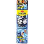 【平日13時まで当日発送】熱中対策 服の上から極寒スプレー 無香料(330ml)【1個】