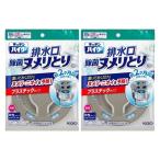 ショッピングハイター 【2セット】花王 キッチンハイター ヌメリとり剤 除菌ヌメリとり 本体 プラスチックタイプ 1個