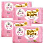【4袋】小林製薬 命の母 カイロ 貼るタイプ じんわり温かい おなか用カイロ 10枚入