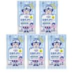 【5個計50枚】花王 ビオレu 全身すっきりシート 携帯用 10枚入り