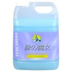 【大容量】 緑の魔女 トイレ(トイレ用洗剤) 5L 業務用 送料無料