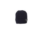 phenix(フェニックス) メンズ スキー 帽子 Winding Watch Cap ネイビー サイズ:F
